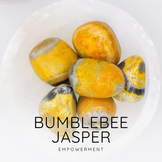 Bumblebee Jasper